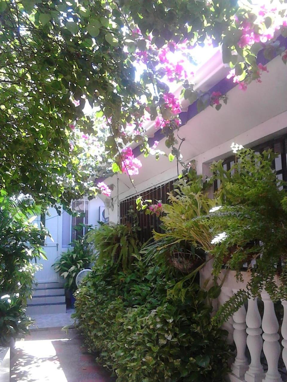 San Andrés Vianova'S Place Posada Nativa מראה חיצוני תמונה